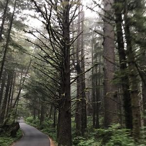 Meet your Posher, Harrison